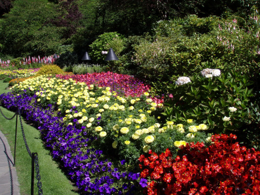 490527 (a): :2620x1965